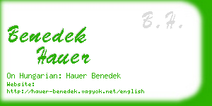 benedek hauer business card